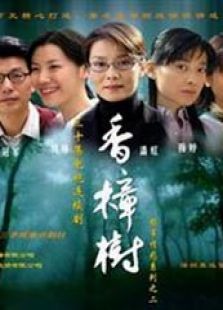香樟树剧情介绍_百田电视剧大全