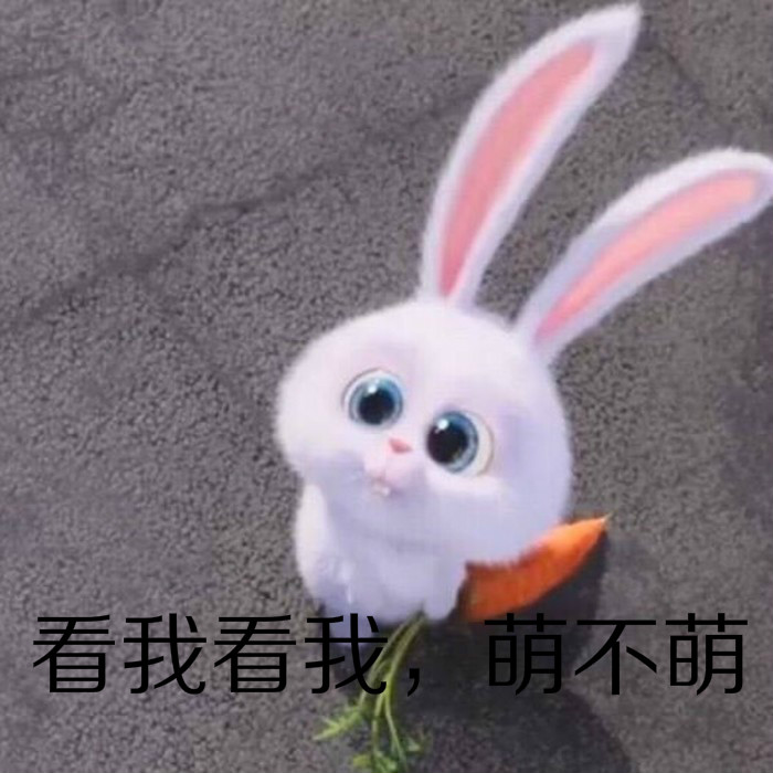 【如影随行|瑶芷】颖宝爱兔(小白)表情包来袭!