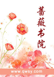 妃倾天下:七皇子宠她入骨