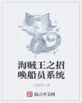 海贼王之招唤船员系统