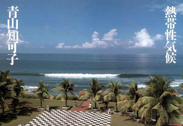 青山知可子写真