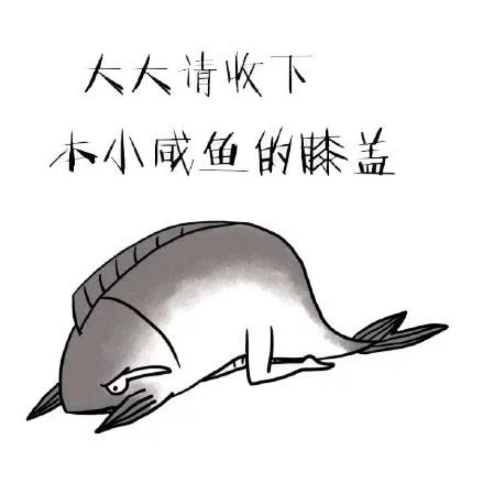 1513999819863.jpg