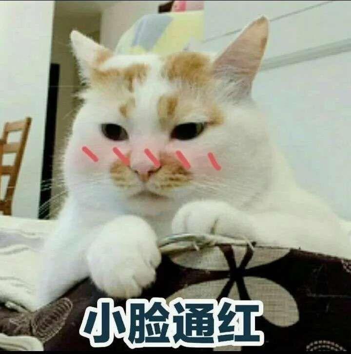 1529299892188.jpg