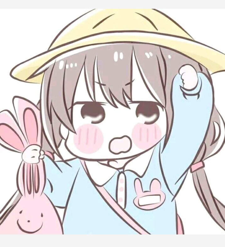 22672205