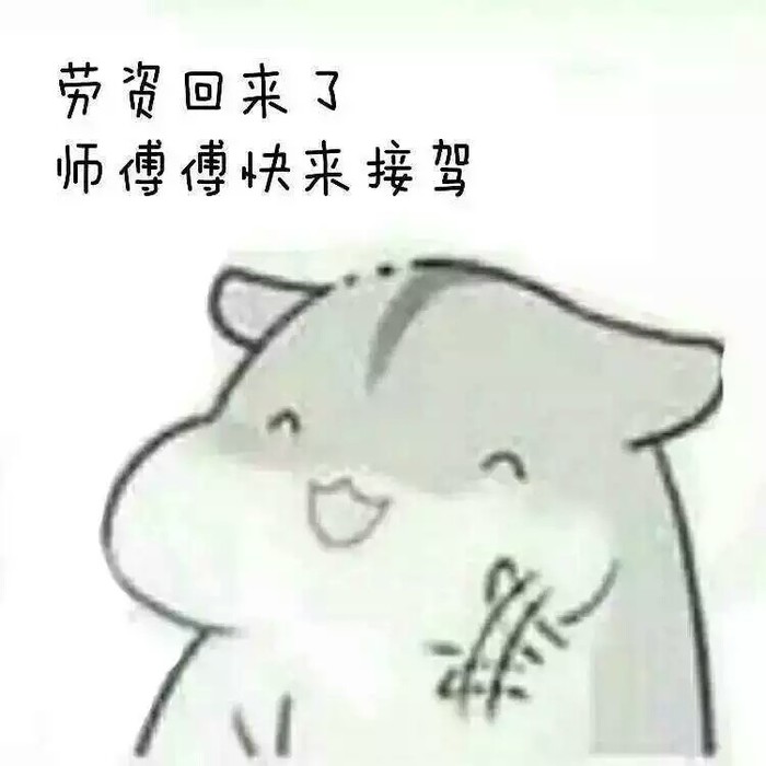 【寂韵暖阳·刺骨】呀,我太可爱了,吸引了那么多人