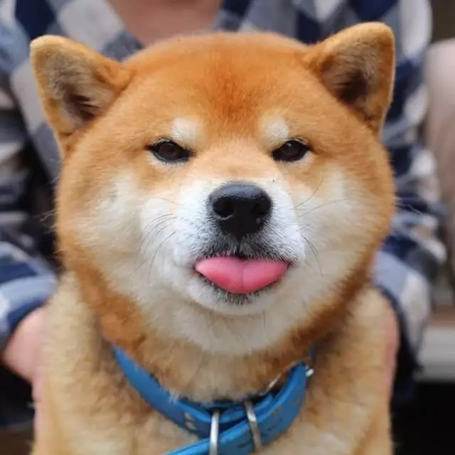 1492154152542.png