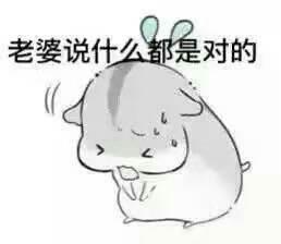 表情包圈