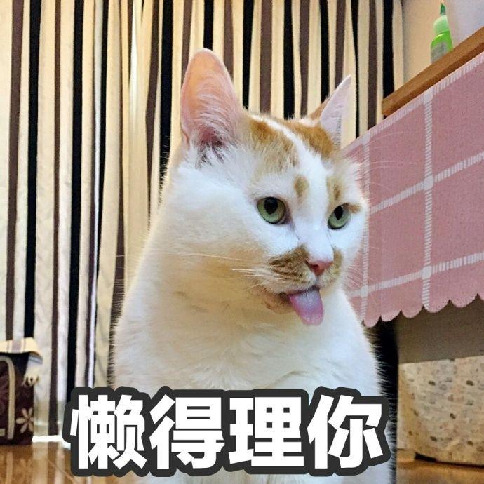 1508412851933.jpg