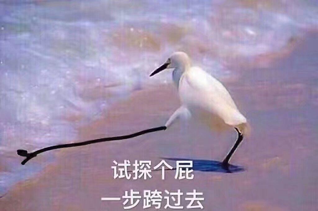 800