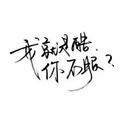 一身傲骨,两袖杀气