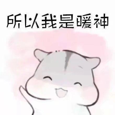 1515282480416.jpg