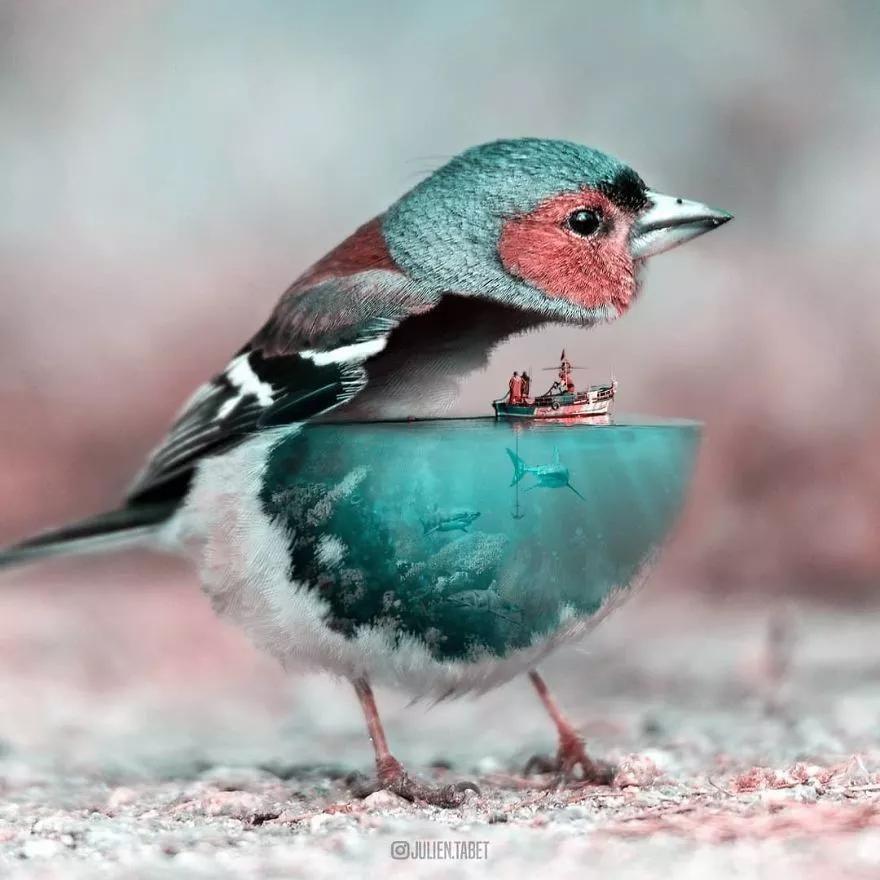 当动物世界遇上ps大神,这脑洞我服!