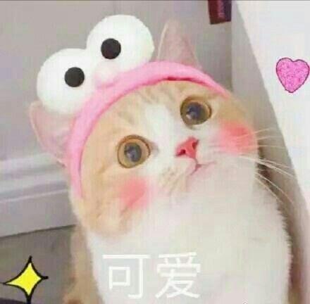 【】小来源你的表情表情包v来源公主图片