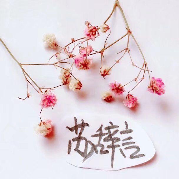 余生有你简谱_余生有你图片