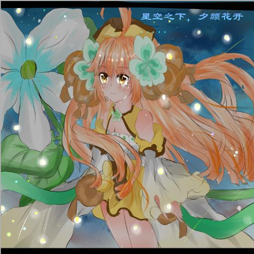 星空之下 夕颜花开