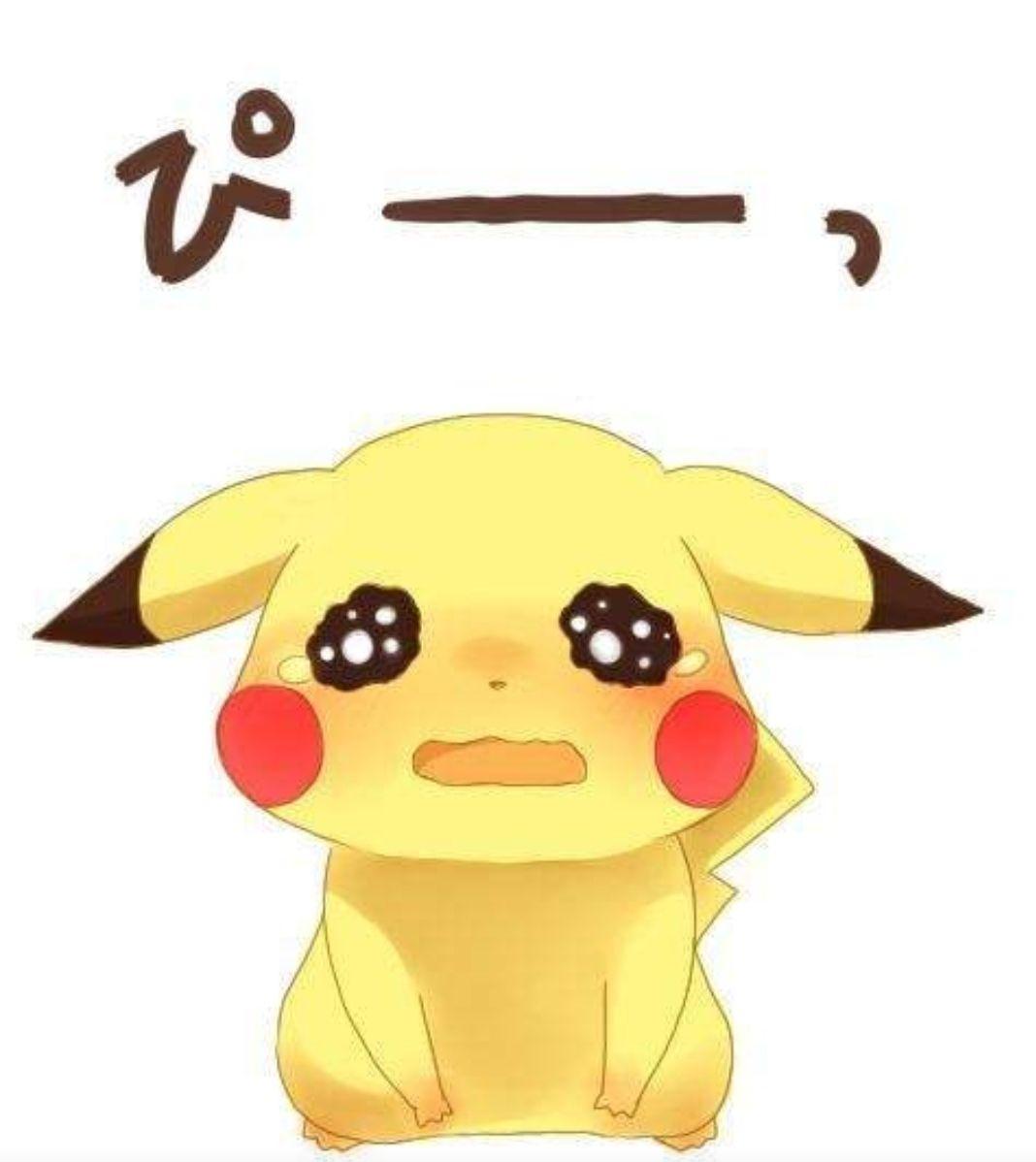 800