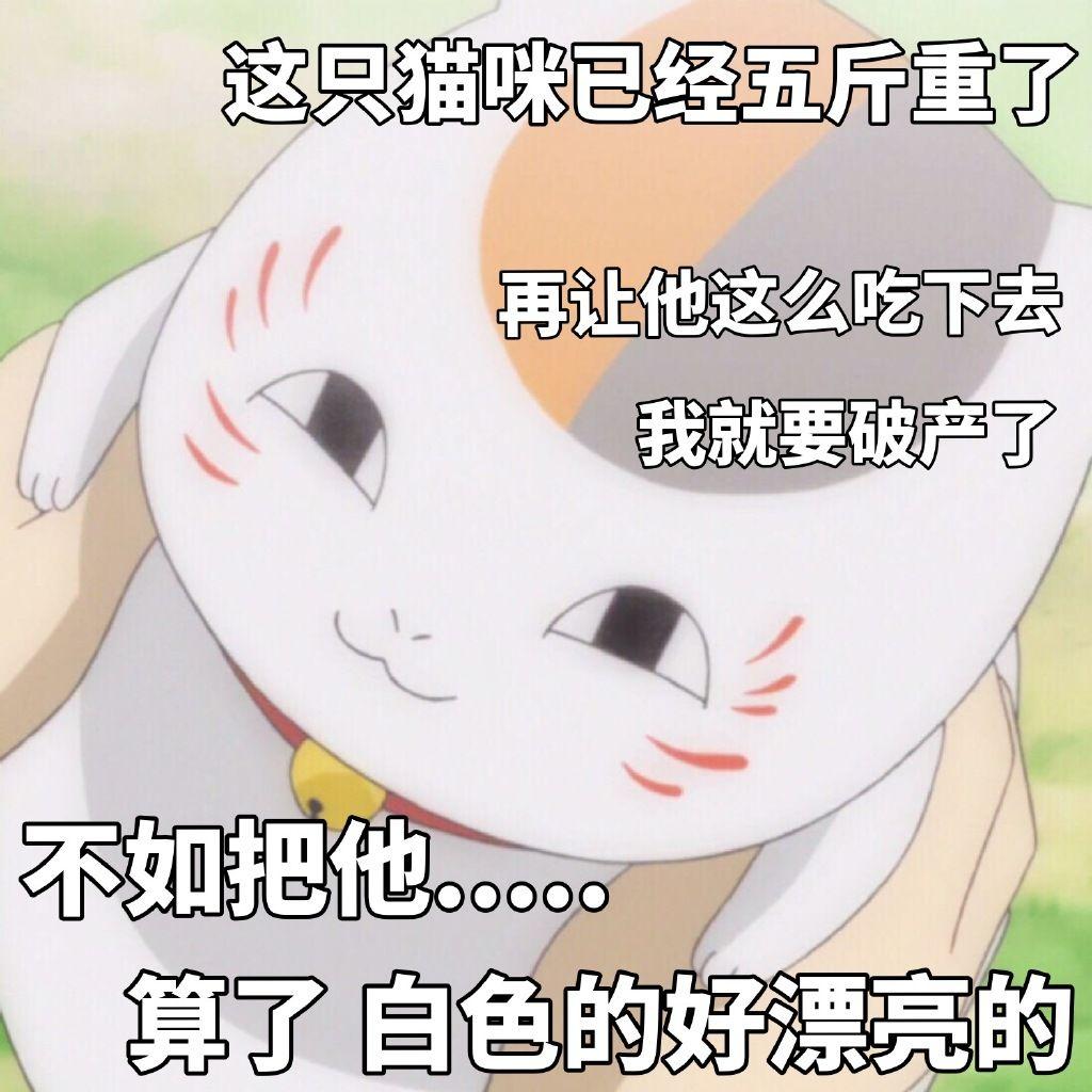 夏目友人帐圈