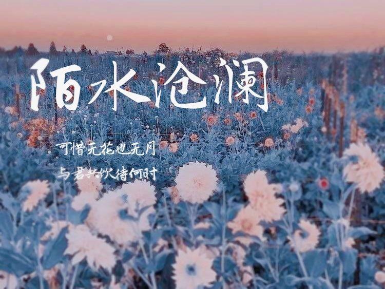 【陌水沧澜|花倚】《彼时》